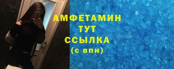 молекула духа Няндома