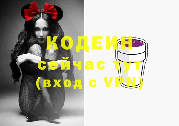 хмурый Нягань