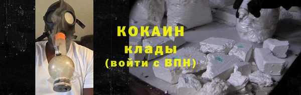 молекула духа Няндома