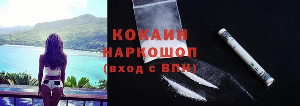 мяу мяу мука Новокубанск