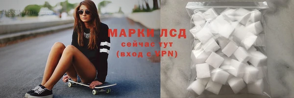 молекула духа Няндома