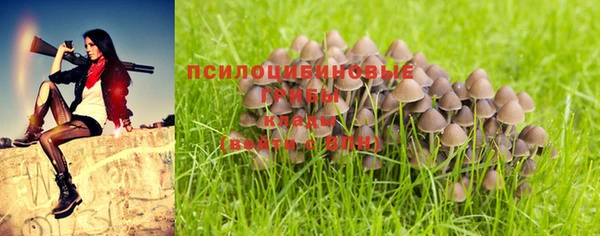 стаф Нязепетровск