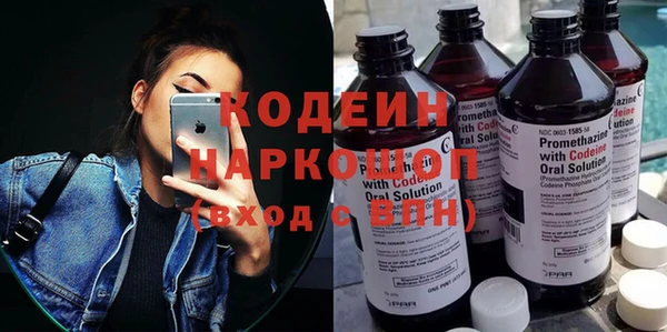 молекула духа Няндома