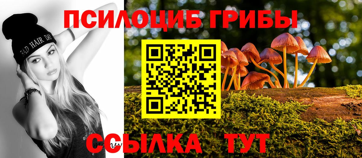 Галлюциногенные грибы GOLDEN TEACHER Новомосковск