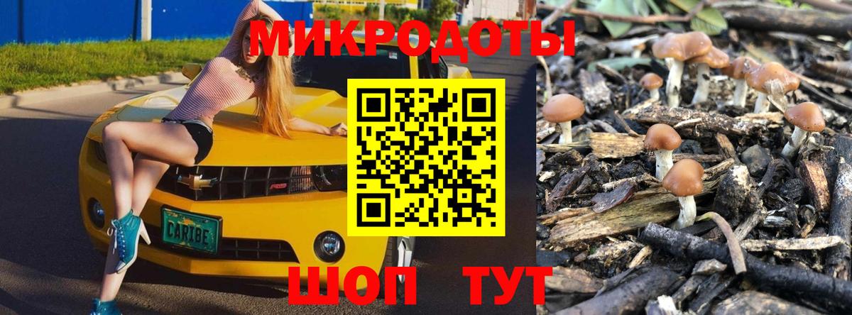 Псилоцибиновые грибы Psilocybine cubensis  как найти   Новомосковск  Вход с VPN 